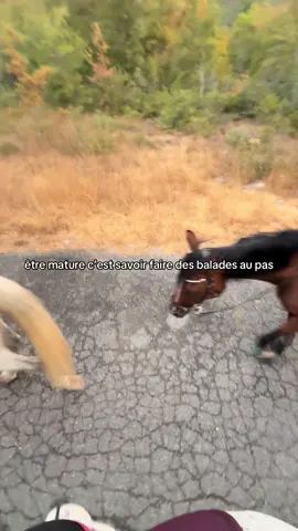 les balade aves cassy 🫣🫣 @Cassy_brb #pourtoiiiiiiiiiiiiiiiii #fypシ #balade 