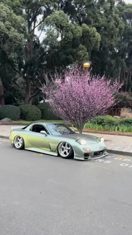 Sydney cherry blossom festival 📍 . . . #mazda #cars #foryou #fyp #bagged #rotary #vskf #rx7 #milleniumjade #fd #haltech #bridgeport #blossom #sydney 
