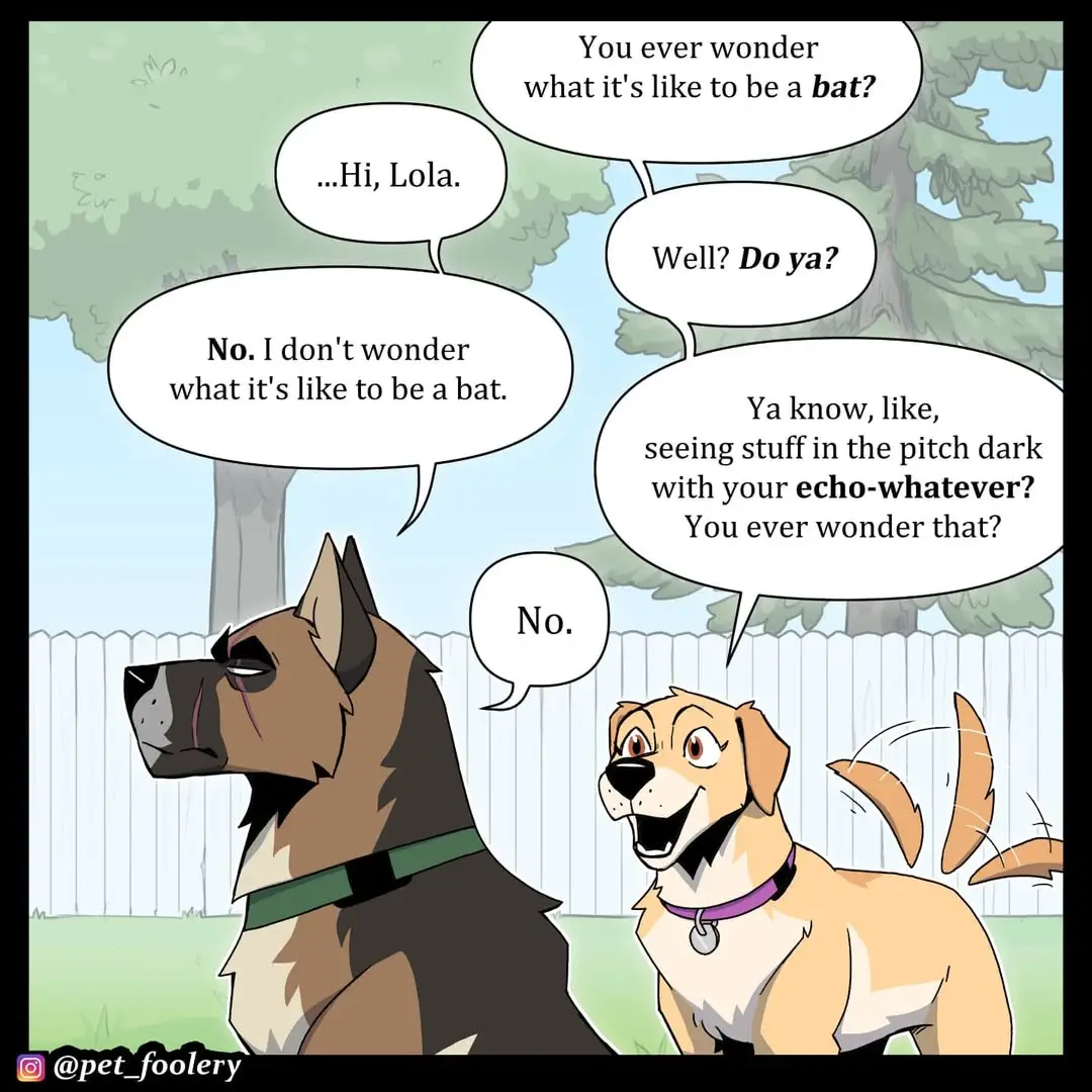 Title: Pixie and Brutus #webcomic #fyp #runeft 
