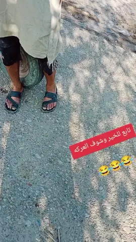 ميسان _البصره_الناصريه_واسط_بغداد_ كركوك_الحله_تكريت_زاخو_الفاو_ المدينه_الشعب_ الصيني_ماله_حل_