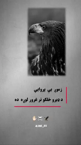 #viralvideo #fyp #viral #pashto #پشتون_تاجیک_هزاره_ازبک_زنده_باد🇦🇫 @ᴋʜᴀᴍᴏsʜ_🍂 