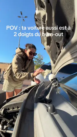 Avec 15 visites par jour, même la voiture elle est fatiguée 😂😂😂 #tiktokfrance #petsitter #histoirevrai #animaux #voiture 