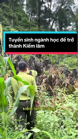 Tư vấn tuyển sinh#thượngkiểmlâm #kiểmlâmviệtnam💚🇻🇳 