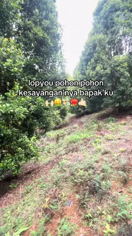 anak petani mna suaranya🙋🏻‍♂️😂#pyp #luwu #petanimuda #pypppppppppppppppppppppppppppppp 