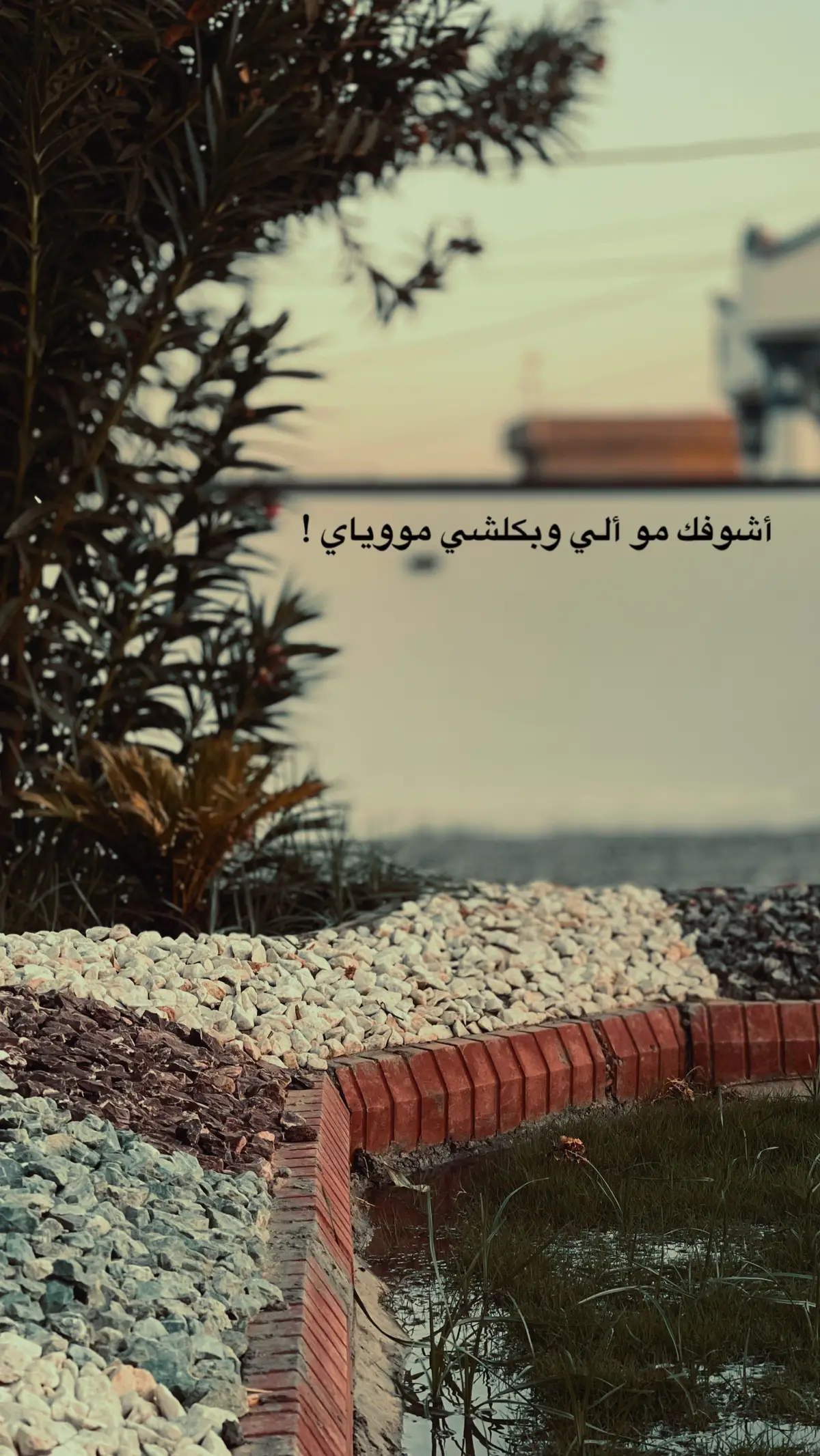 #ألم #شعور #اثر #تصويري📷 #عبارات 