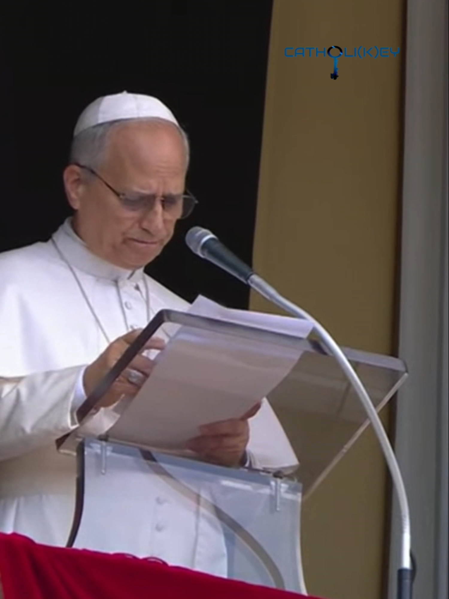 🔴 L'appello di pace di Papa Leone XIV all'Angelus di questa mattina: 