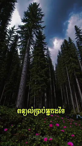 មិនចាំបាច់ទៅពន្យល់ប្រាប់អ្នកដទៃ ពីការលំបាករបស់យើងទេ