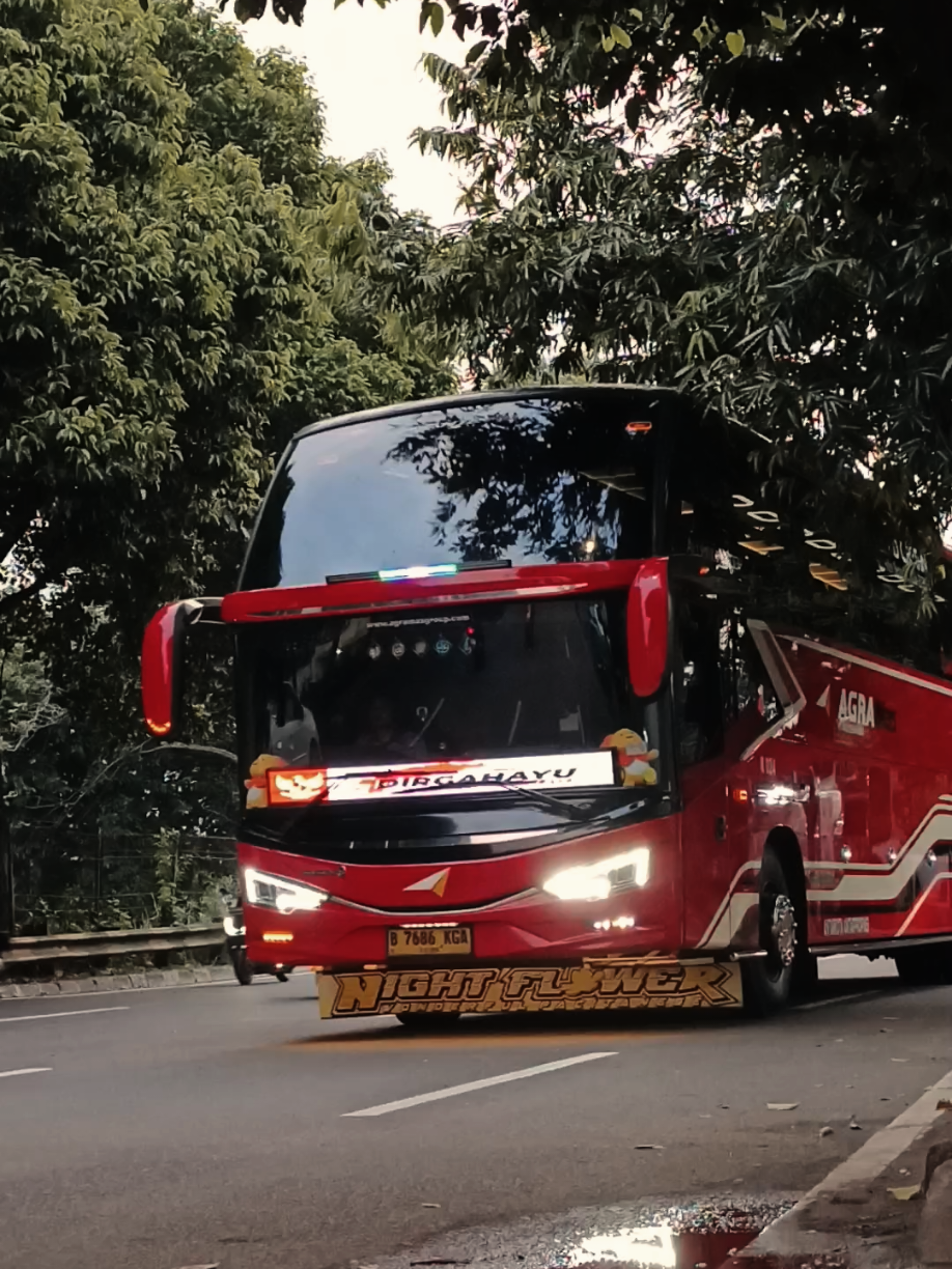 Pelari Pacitan🐎 #agramas #avante #wonogiri24jam #pacitan24jam #buslover 