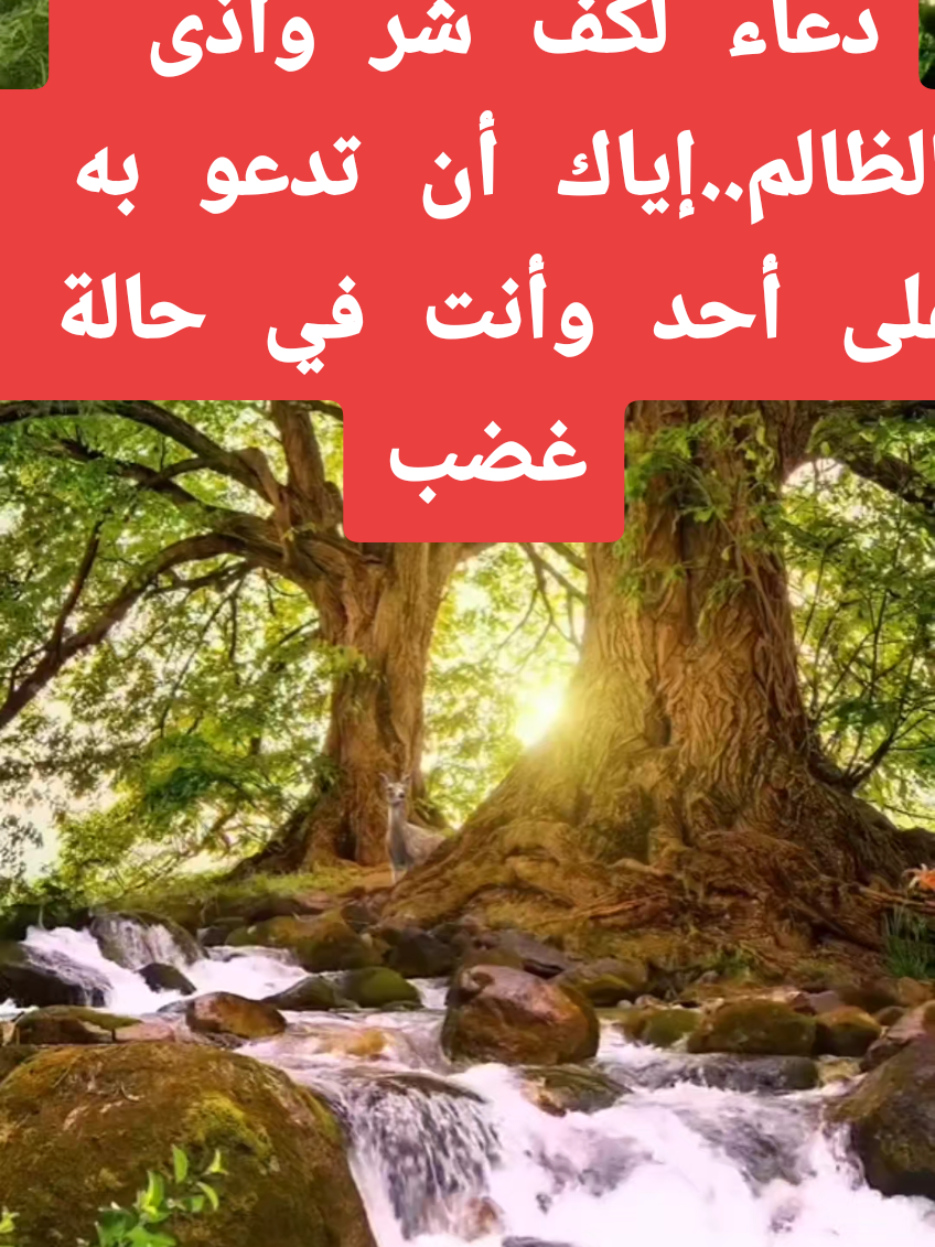 دعاء خطير لكف أذى الظالم في الحال  #دعاء #دعاء_يريح_القلوب #explore #ذكر_الله  #مشاهدات_تيك_توك 