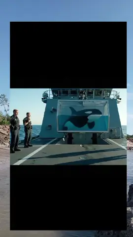 paus orca dan jessika #pausorca  #jessikadanpausorca  #videoviral #fyporca