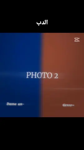 الدب