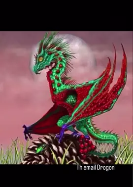 The email dragon  #fruitdragon #thefruitdragons #thefruitdragon #ted #fyp 