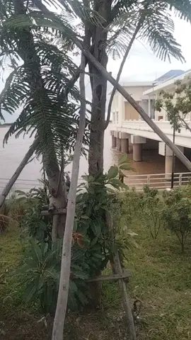 ភ្លៀង😁