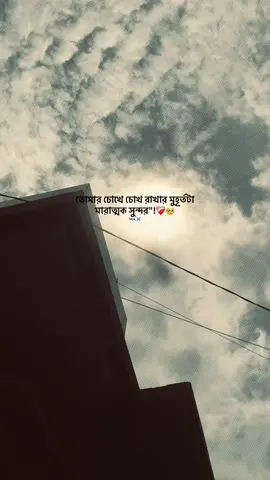I dedicated to someone!!💗🥹#foryou #foryoupage #tiktokoficial #tiktok #hiya_🦋 