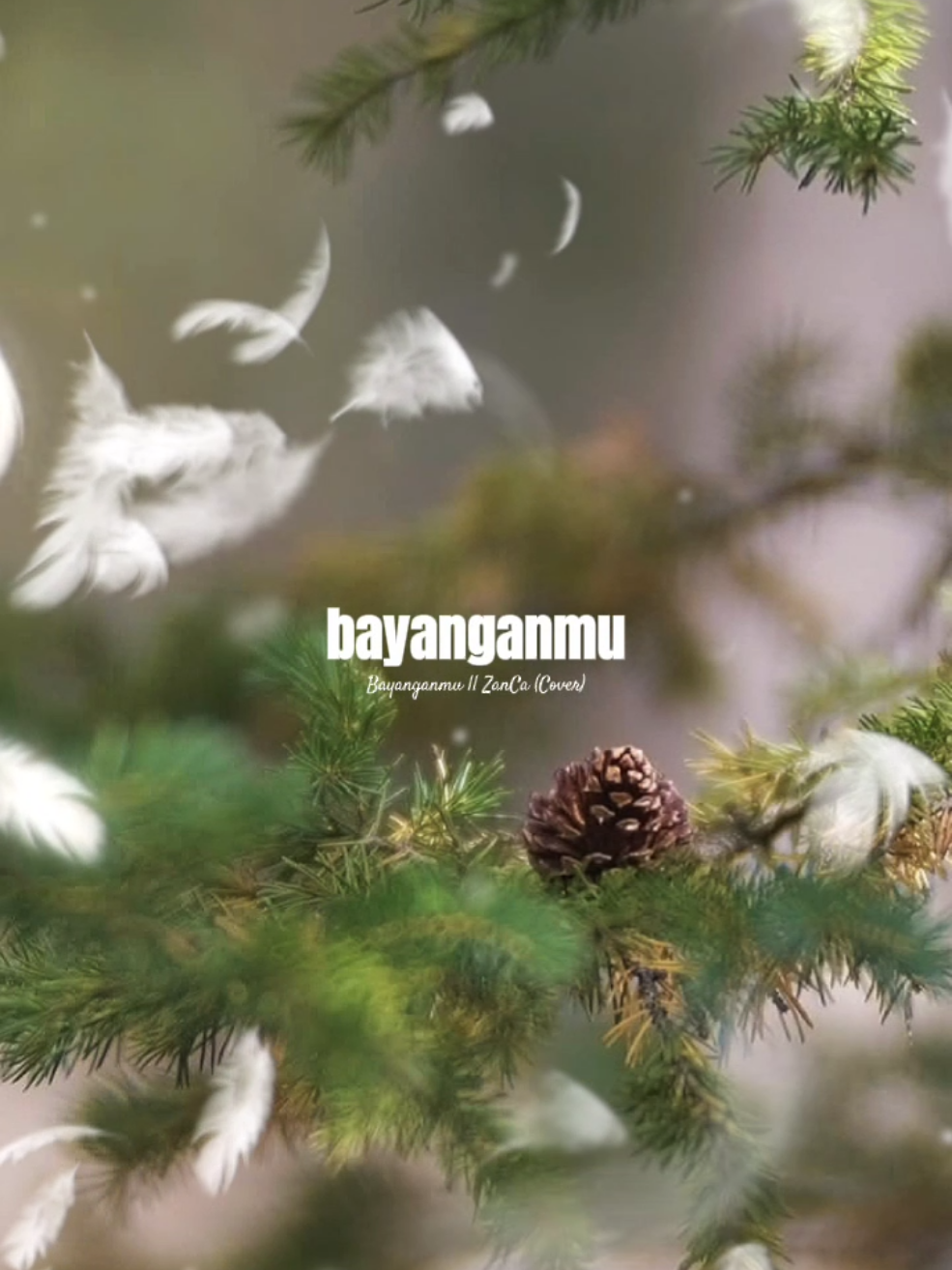 BAYANGANMU - ZANCA COVER#liriklagu #templatecapcut #CapCut #fyp 