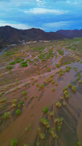 سيول وادي صخي شمال نجران صباح اليوم الاحد ١٤٤٧/٣/١هـ 