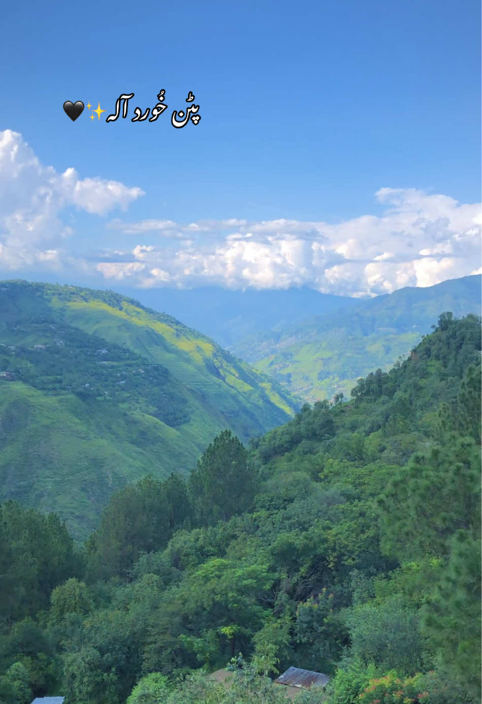 🥀🍁ہر شخص اپنی سنائی ہوئی کہانی میں مخلص ہوتا ہے 🥀🕊️#village #mountain #pattankhurd #viralvideo #saimabbasi111 
