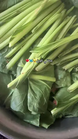 😂😂😂😂#مالي_خلق_احط_هاشتاقات #الشعب_الصيني_ماله_حل 