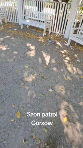 Shon patrol gorzów #shonpatrol #gorzów #shon #dc 