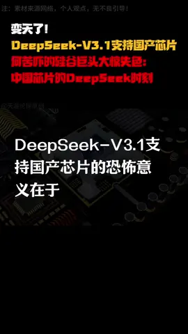 变天了！KeepSeek-V3.1支持国产芯片！为何说这TM就是国产芯片DeepSeek时刻？！#deepseek #ai #芯片 #人工智能 #大国科技 