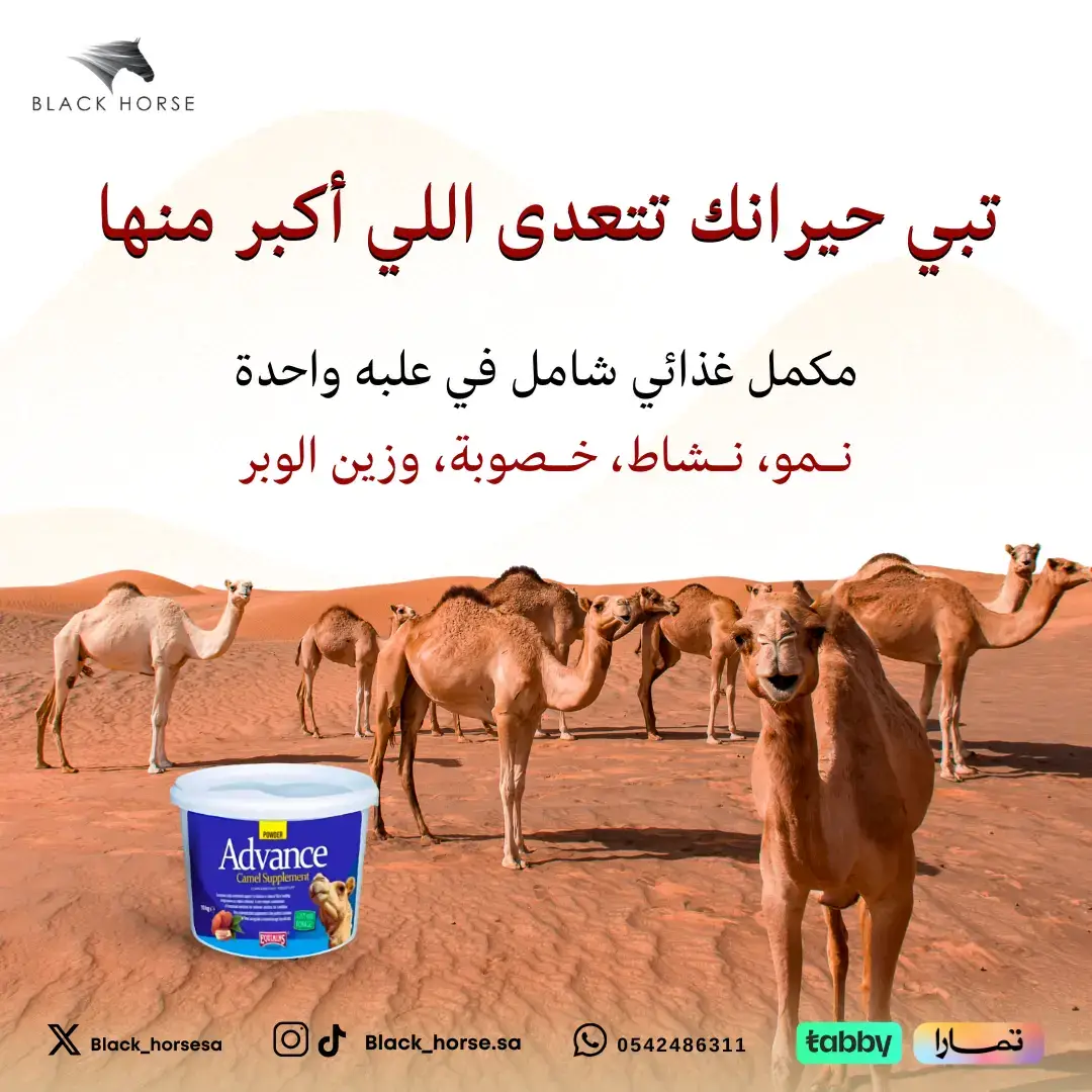 يازين هذا الوصف لما تشوفه على ارض الواقع. مكمل غذائي شامل مخصص للإبل. خالي من الهرمونات و امور العبث. يحتوي على مجموعة كبيرة و مختارة من الفيتامينات و المعادن و الزيوت و الاحماض الامينية. #ادفانس_الابل #ادفانس #ابل_وضح #عطايا_الله #ضرمه #رفحاء #نجران #مغاتير #تفحيم #مكة #فيتامينات #علاج #كبر_عظم #فتح_شهية #كالسيوم #عظام #فيتامين_للبل #حشو #حيران #حوار #احماض_امينية #فيتامين_د #خصوبة 