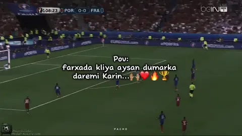 Euro 2016 🔥🏆🇵🇹 #videoviral #video ##fypシ゚ #viewsproblem💔😔 #euro2016 