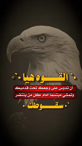 #استوريات #مجرد________ذووووووق🎶🎵💞 ##عبارات_جميلة_وقويه😉🖤#fypシ゚viral🖤tiktok☆♡🦋myvideo   #اكسبلور 