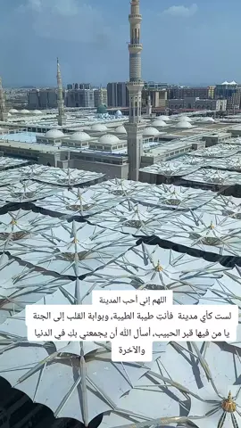 اللهم بلغنا طيبة، ورزقنا سكنى جنة محمد#المسجد_النبوي #اطهر_بقاع_الارض #الحرم_المدني #المدينة_المنورة 