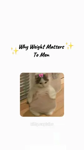 Why Weight Matters To Men explained by cats :) #catanimation #weight #cats #kittycat #kittyexplains 