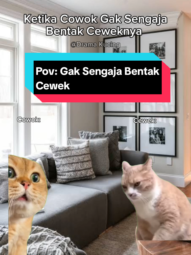 Suasana Pun Langsung Berubah 🤭🤣#fypシ #memecat #memekucing #catlover #catlovers 