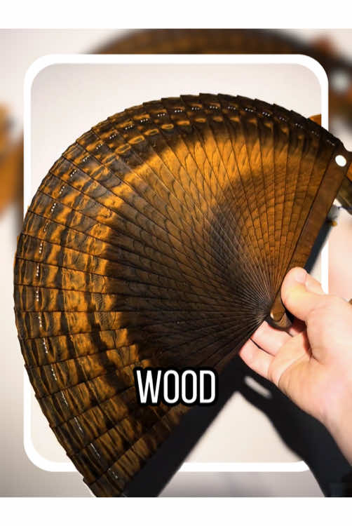 What the fuck kind of wood is this? #usa #usa_tiktok #popular #america #wood #viral 