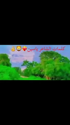 @بلجيك الجارح 🔐 @حواو بنت عزي @وَائِلْ  بَنِي  وَائِلْ @حـفـيـد♤ بنـي ۩وائـل♛ @💔🔥🔐رمۣۗـزيِّ81 😳💔😔 @قناص 🔫 💔🥺💔 العدواني🔐R.S.F 