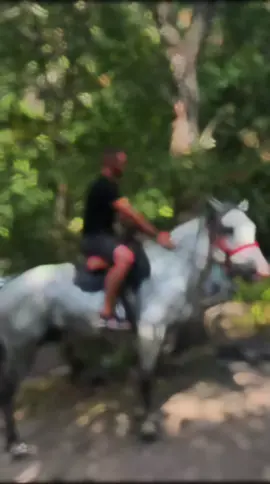 #горы 