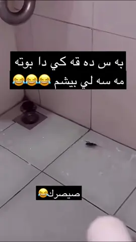 💔😂😂😂😂😂#duhok_zaxo_amedi_semel_akre #duhok_core😂 #بادینان #kurdistan #duhok_sport_club💛🦅🇺🇦🦅💙 