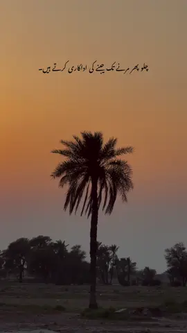 ˚˖𓍢⭐໋`🌿 :✧˚.📷⋆𖧧 . . #profileview #ffyyppppppppppppppppppp #pleaseviralmyvideotiktok #foryoupagee #tiktokunfreezemyaacount 