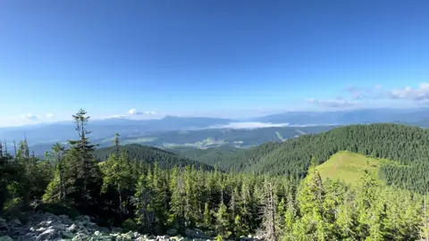 #peace #naturevibes #vibe #nature 