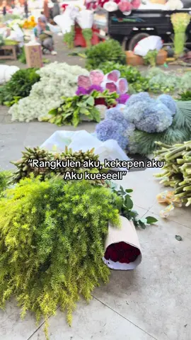 Nova Florist (Bakul Kembang)  Supplier Bunga Segar Sumowono-Bandungan  Since 2001  Maps Sub terminal bandungan Lokasi di pasar Bunga Bandungan  #bakulkembang  #freshflowers💐  #novafloristbandungan  #fyp  #fyppppppppppppppppppppppp 