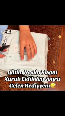 #Temu #Farmland #Gift #unboxing #surprise