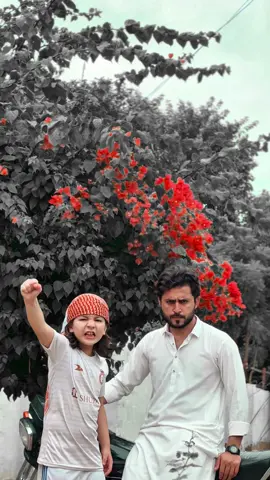Free Free Palestine🇵🇸🇵🇸🇵🇸🇵🇸🇵🇸