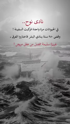 #مشاهدات_تيك_توك #اكسبلورexplore #fypシ #تناهيد_القلب #🌷🌷 