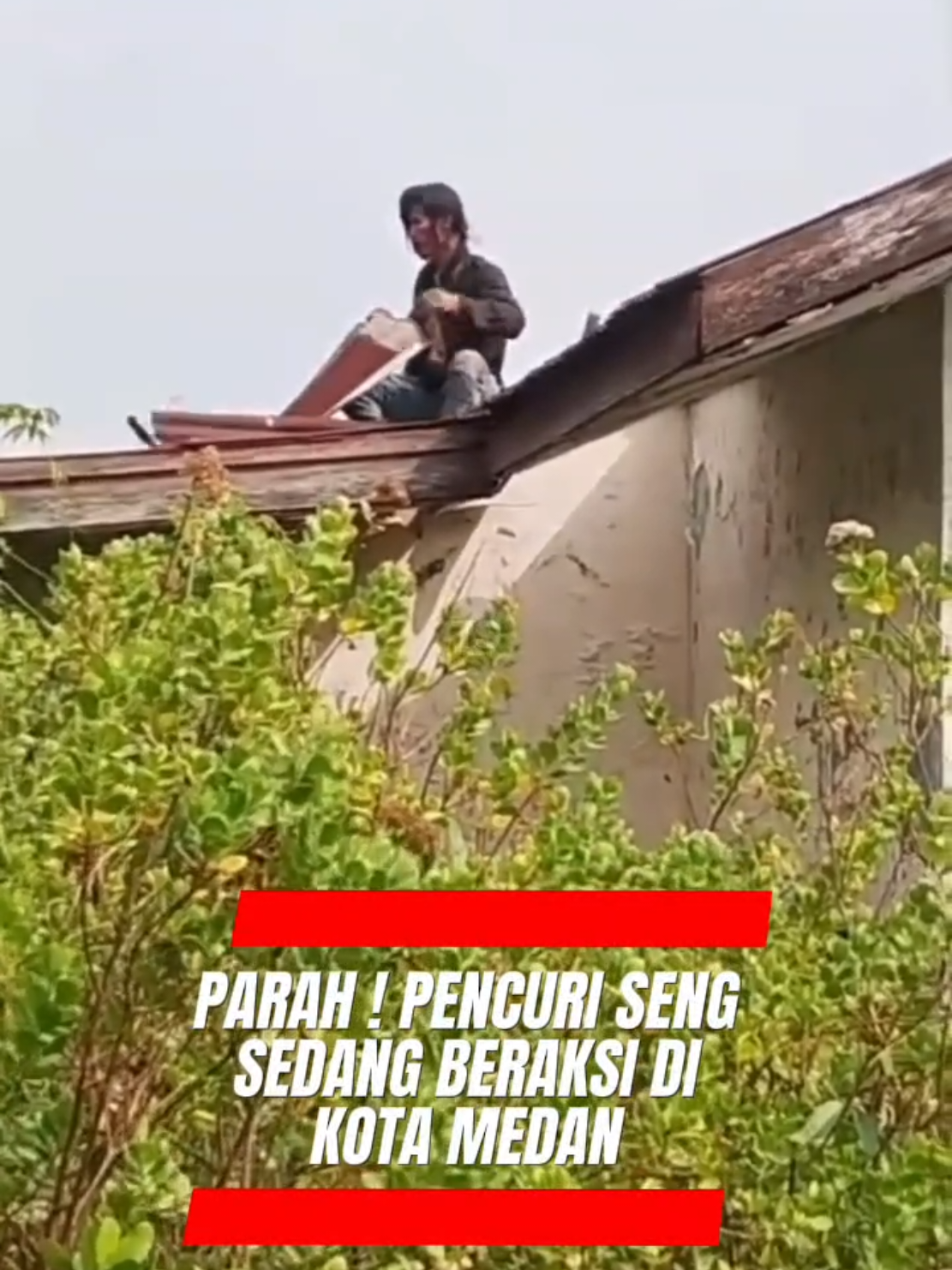 Parah, seorang pria terekam sedang mencuri seng milik Pemko Medan katanya.  Lokasi : Young Panah Hijau, Kota Medan, Sumatera Utara.  #topiksumut #viral #maling #pencuri #kotamedan 
