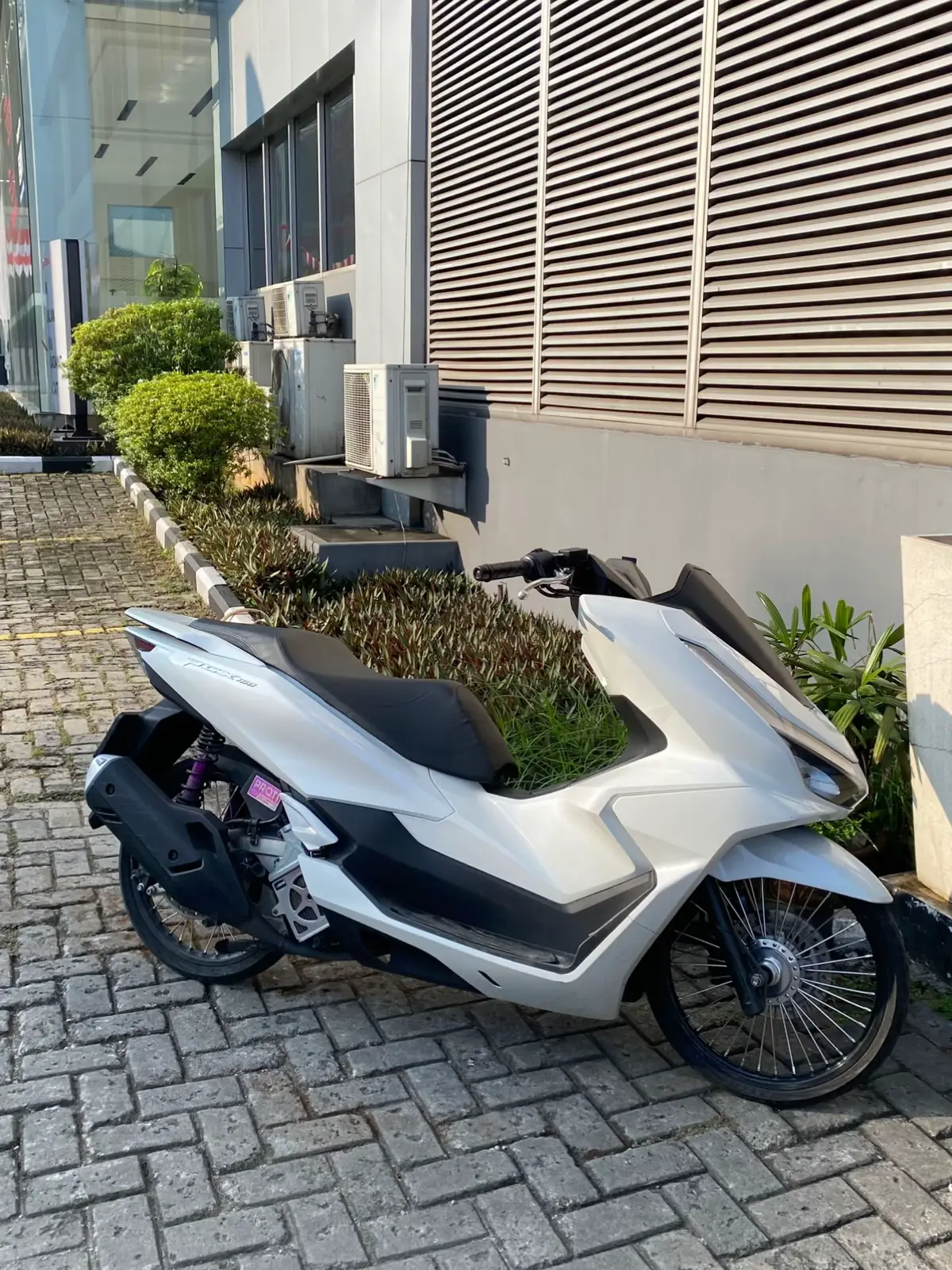 #ring17style #penggunaring17 #pcx160ล้อ17แต่งสวย #pcxแต่งสวย #fyp 