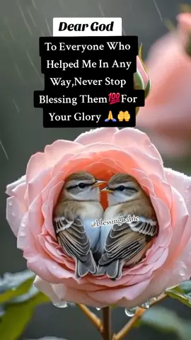 #viral #foryou #creatorsearchinsights #trending #fyp 
