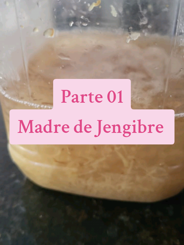 Parte 01 Madre de Jengibre  #madredejengibre #gaseosasnaturales #fermentacion  #fermentacionsalvaje 