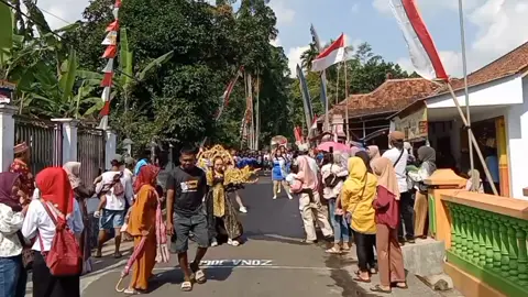 #labalabaaudiolumajang #karnavaltiktok #ikutantrend #fyppppppp 