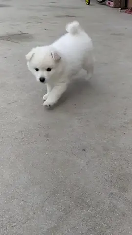😍😍