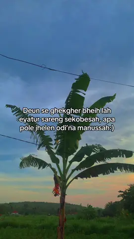 #katakatamaduraviral #fyp #xybca #lewatberanda #sumenepmadura #madurapride 