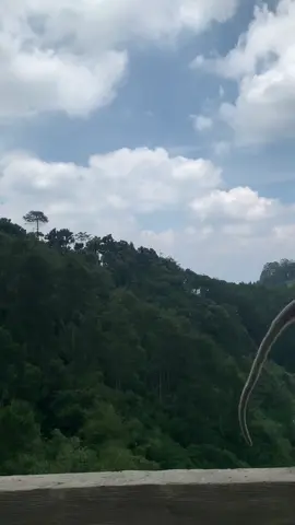 Lagi rame banget tentang waspada sesar lembang, padahal ia seindah ini🥹🥺 #fyp #sesarlembang #bandung #lembang 