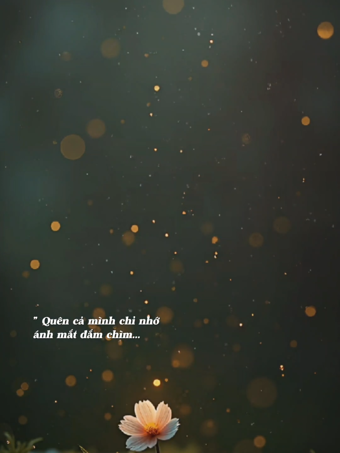 Ta say không phải vì men... #nhachaymoingay #Bkmuzic #saymotdoiviem 