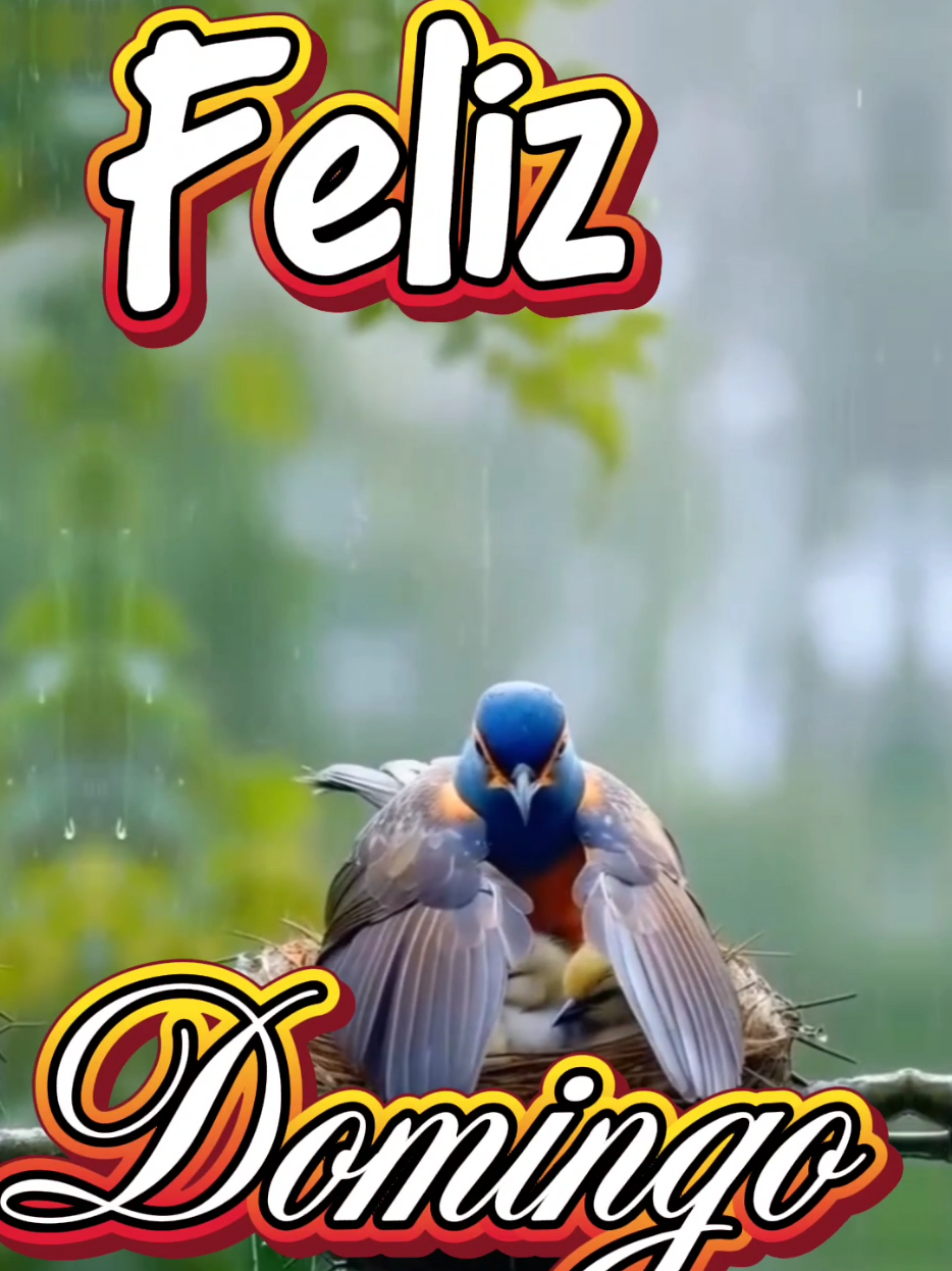 Feliz Domingo #buenosdias #domingo #arelimendoza  #CapCutMotivacional #CapCut 
